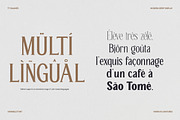 TT Galiner – Timeless Elegance Serif, a Serif Font by truetype (Thumbnail 15 of 15)