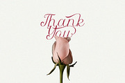 Hello Marie - Modern Calligraphy, a Script Font by Qweera Studio (Thumbnail 9 of 12)