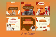 Pet Shop Instagram | CANVA Template, a Social Media Template by Azruca (Thumbnail 14 of 17)