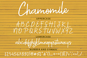 Chamomile Script Font, a Script Font by siscxiu (Thumbnail 6 of 6)