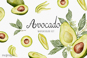 Avocado watercolor set, a Food Illustration by Daryartsy