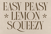 Quartens New Modern Display, a Serif Font by Storytype Studio (Thumbnail 5 of 15)
