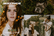MustaART - Matrice  - XMP Preset, an Action Add-On by MustaART (Thumbnail 1 of 6)