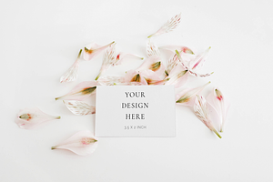 Blush Spring Business Card Mockup