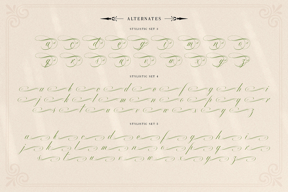 Mollani Nature Script, a Script Font by alit design