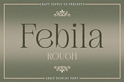 Febila Rough, a Serif Font by Craft Supply Co. (Thumbnail 1 of 8)