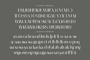 Bridget, a Serif Font by Cruzine (Thumbnail 8 of 9)