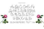 Bellinda Script (20% Discount), a Script Font by Thirtypath Studio (Thumbnail 5 of 8)