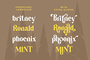 Vanilla Right - Modern Serif Font, a Serif Font by Airotype (Thumbnail 13 of 18)