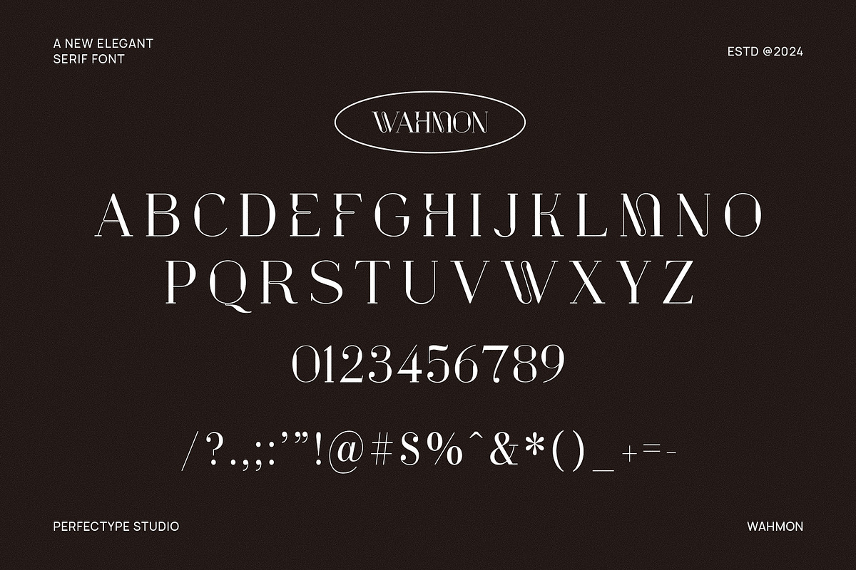 Wahmon Unique and Elegant Serif Font, a Serif Font by Perfectype (Photo 6 of 6)