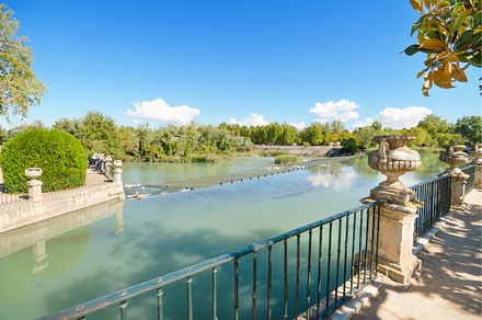 Beautiful Lake at Aranjuez, a Nature Photo by david.herraez.calzad