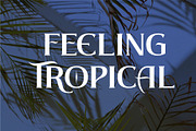 BEACH STONE | Modern Serif Font, a Serif Font by Havinkpen (Thumbnail 4 of 7)