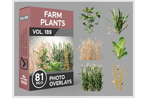 81 Farm Plants Photo Overlays
