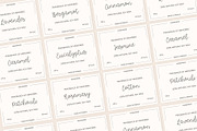 Hopeful Always Bouncy Script Font, a Script Font by Kaya Fonts (Thumbnail 10 of 31)