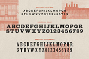 Handbill: letterpress type family, a Slab Serif Font by Polymath (Thumbnail 13 of 14)