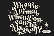 TAN - ROBIN, a Serif Font by TanType (Thumbnail 5 of 11)