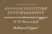 Briliany, a Handwritten Font by Goresan Studio (Thumbnail 11 of 15)
