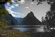 Matte Black &White Lightroom Presets preview 5