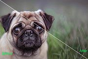 Soft Light Photoshop Actions, an Action Add-On by ARTNEST (Thumbnail 2 of 15)