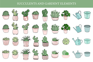 Succulents & Cactuses Illustrations