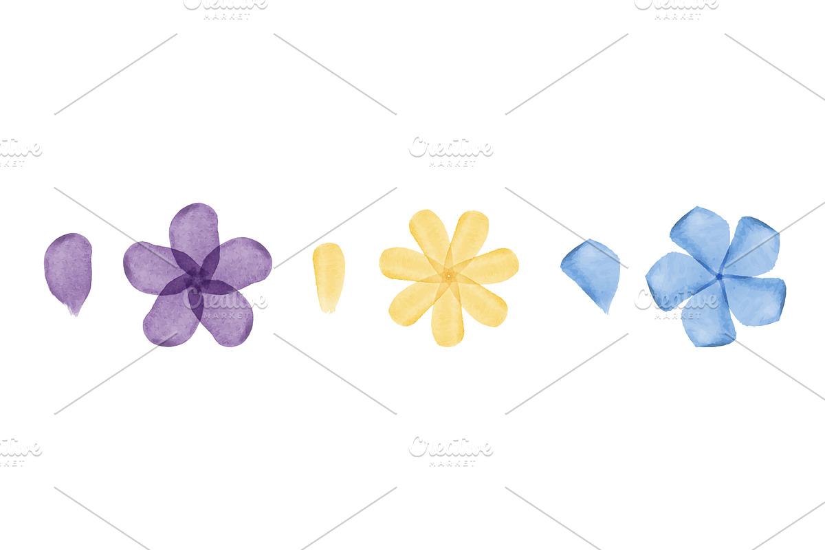 Watercolor flowers and petals in, an Object Illustration by okskukuruza