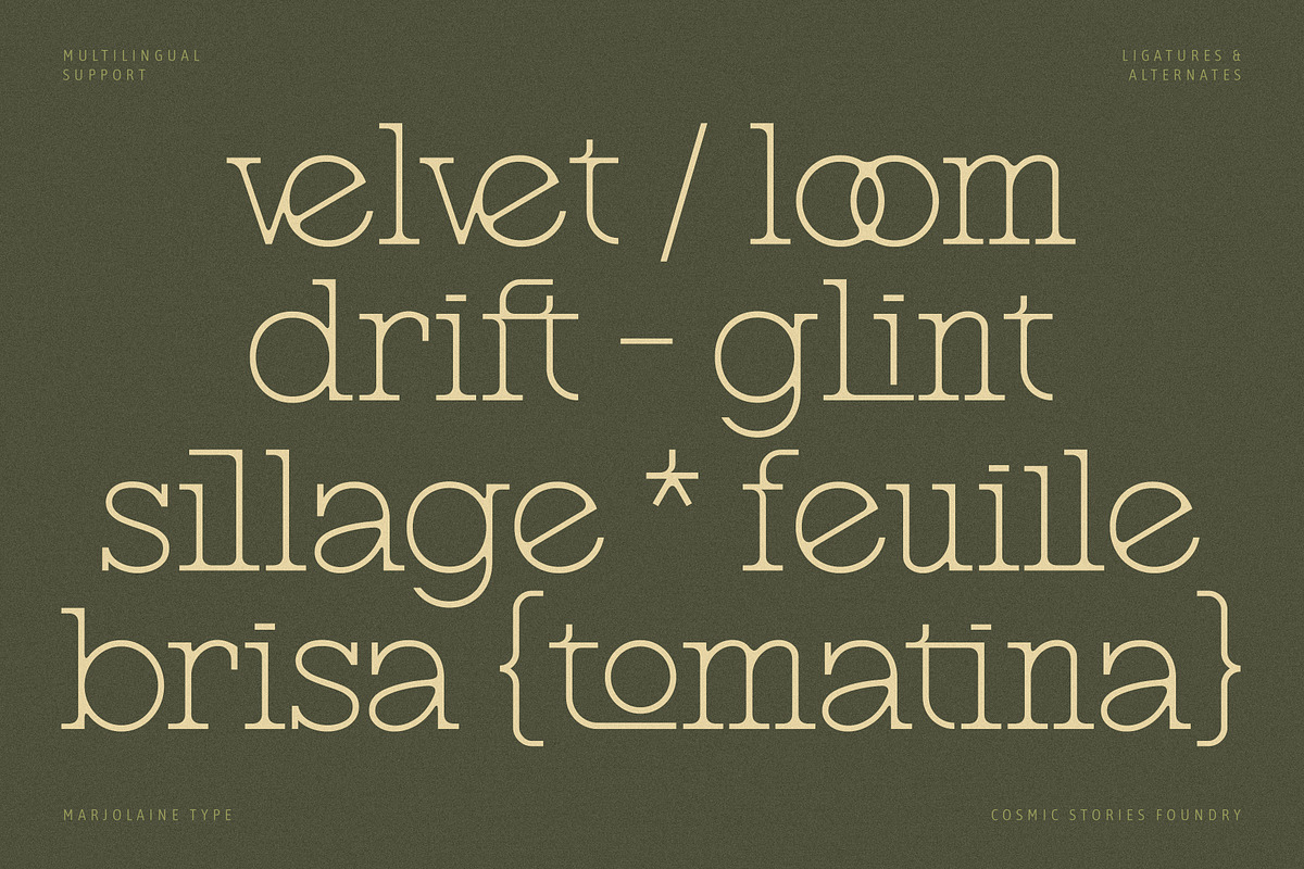 Marjolaine Type - A delicate Serif, a Serif Font by CarmineType (Photo 12 of 24)