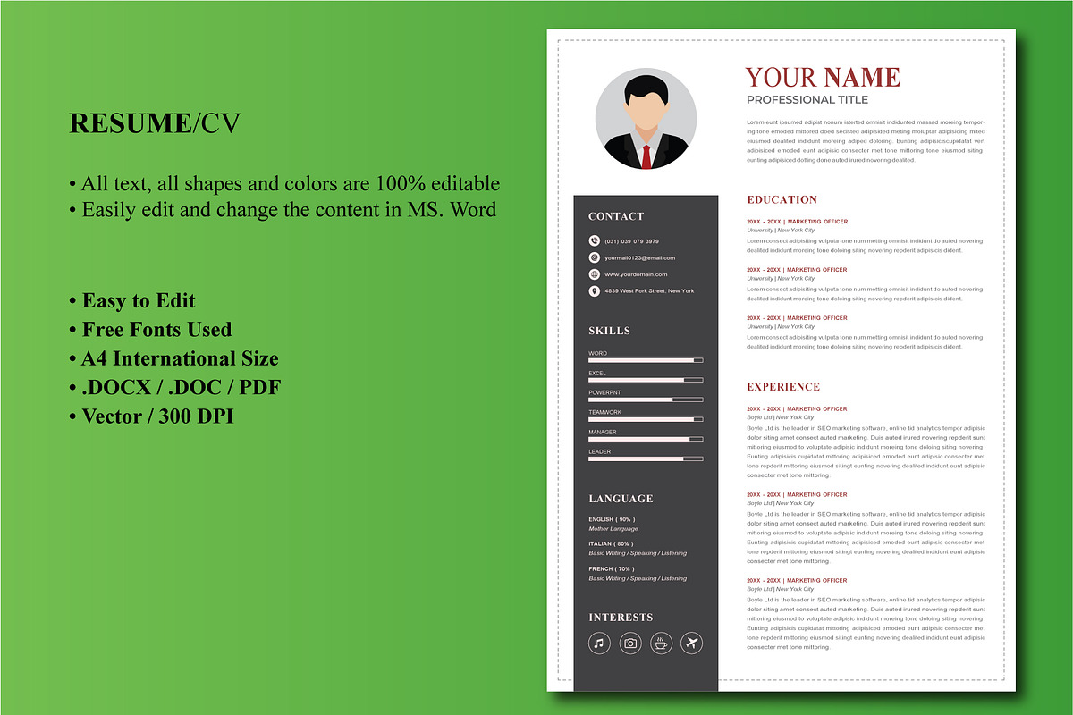 Curriculum Vitae Sample Resume, a Resume Template by Blue Digital Studio (Photo 2 of 2)