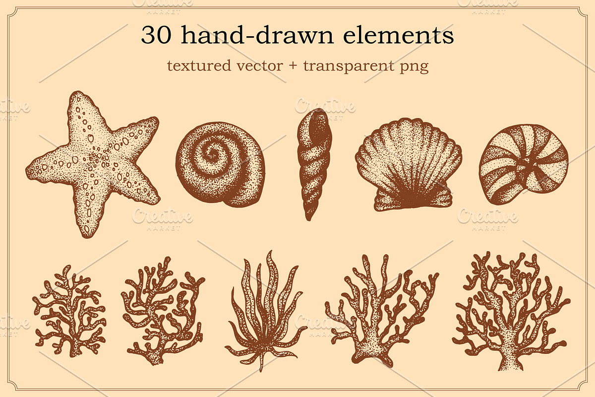 Marine Animal Hand Drawn Elements, an Animal Illustration by Artolabs (Photo 5 of 6)
