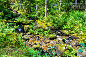 The Gutach river at the foot of Triberg Falls in Germany, a Nature Photo by Leonid Andronov