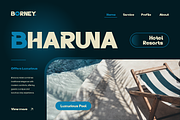 Borney, a Sans Serif Font by Burntilldead (Thumbnail 12 of 13)