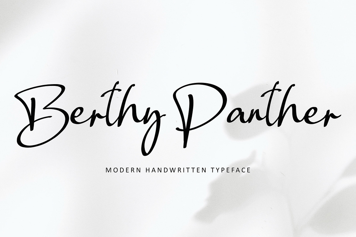 Fellin Blettys, a Script Font by pineungtype (Photo 3 of 8)
