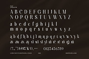 Davish Elegant Serif Font, a Serif Font by Graphicxell (Thumbnail 8 of 8)