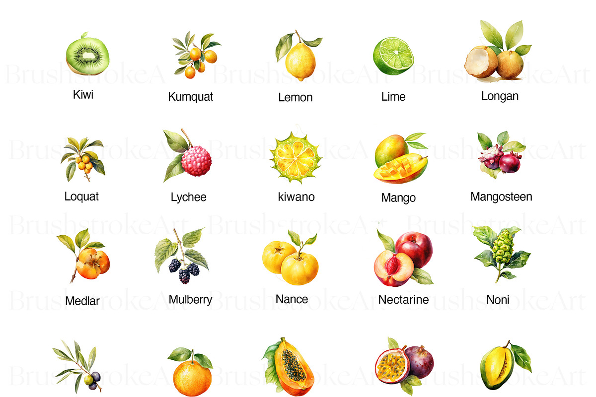 Watercolor Fruits Clipart, Pear PNG, a Food Illustration by BrushstrokeArtGB (Photo 6 of 9)