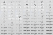 200 Procreate Hand Stamps, a Brush Add-On by Selentaori Studio (Thumbnail 3 of 11)