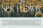 Golden Brown - Modern Serif Typeface, a Serif Font by Comactype Foundry (Thumbnail 13 of 20)