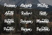 Fineberg | Script Font, a Script Font by Semauku (Thumbnail 6 of 8)