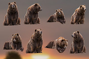 11 - Transparent PNG Bears, an Object Graphic by DareToDream (Thumbnail 2 of 2)