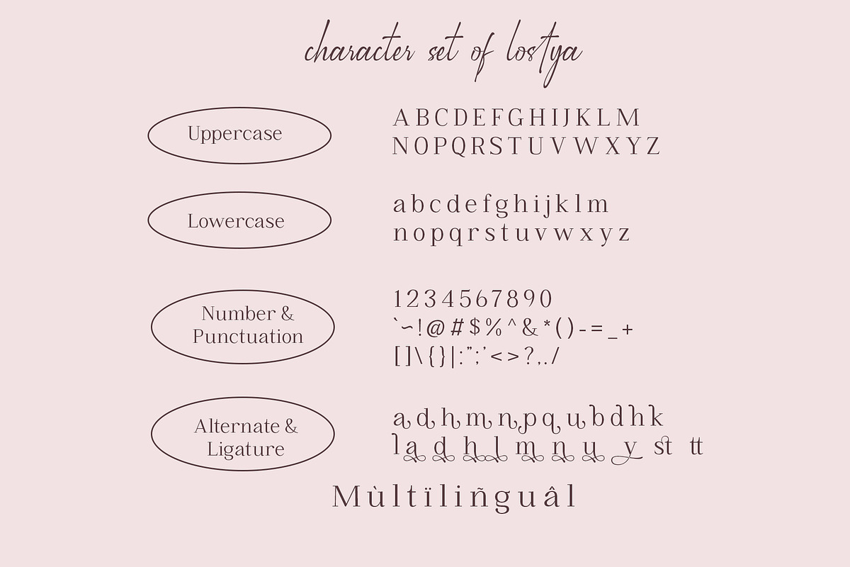 Lostya - Stylish Serif, a Serif Font by Mytype Studio (Photo 8 of 9)