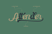 The Paiton -Modern Script Font, a Script Font by Morisco (Thumbnail 2 of 9)