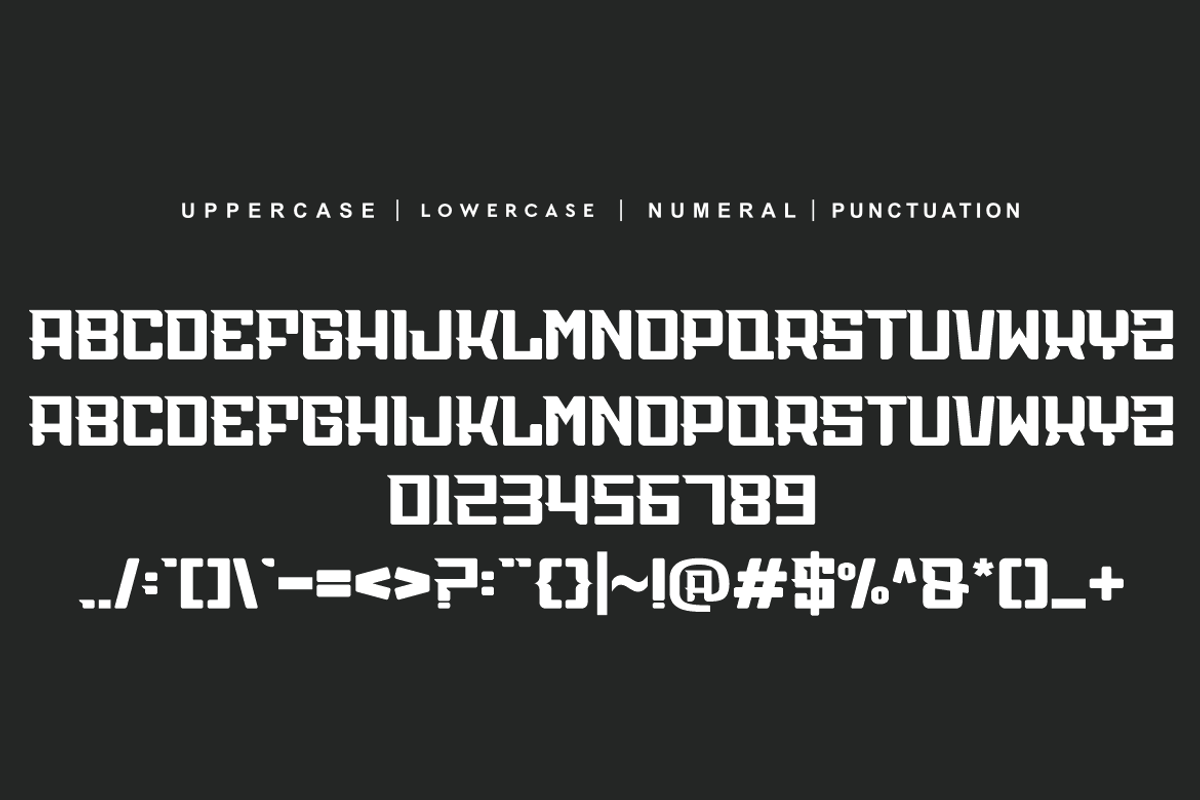 Speedy Geforce, a Serif Font by QR Design Studio (Photo 4 of 6)