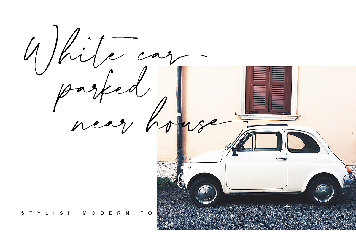 Collection - NEW STYLE, a Script Font by alphArtype (Photo 10 of 16)