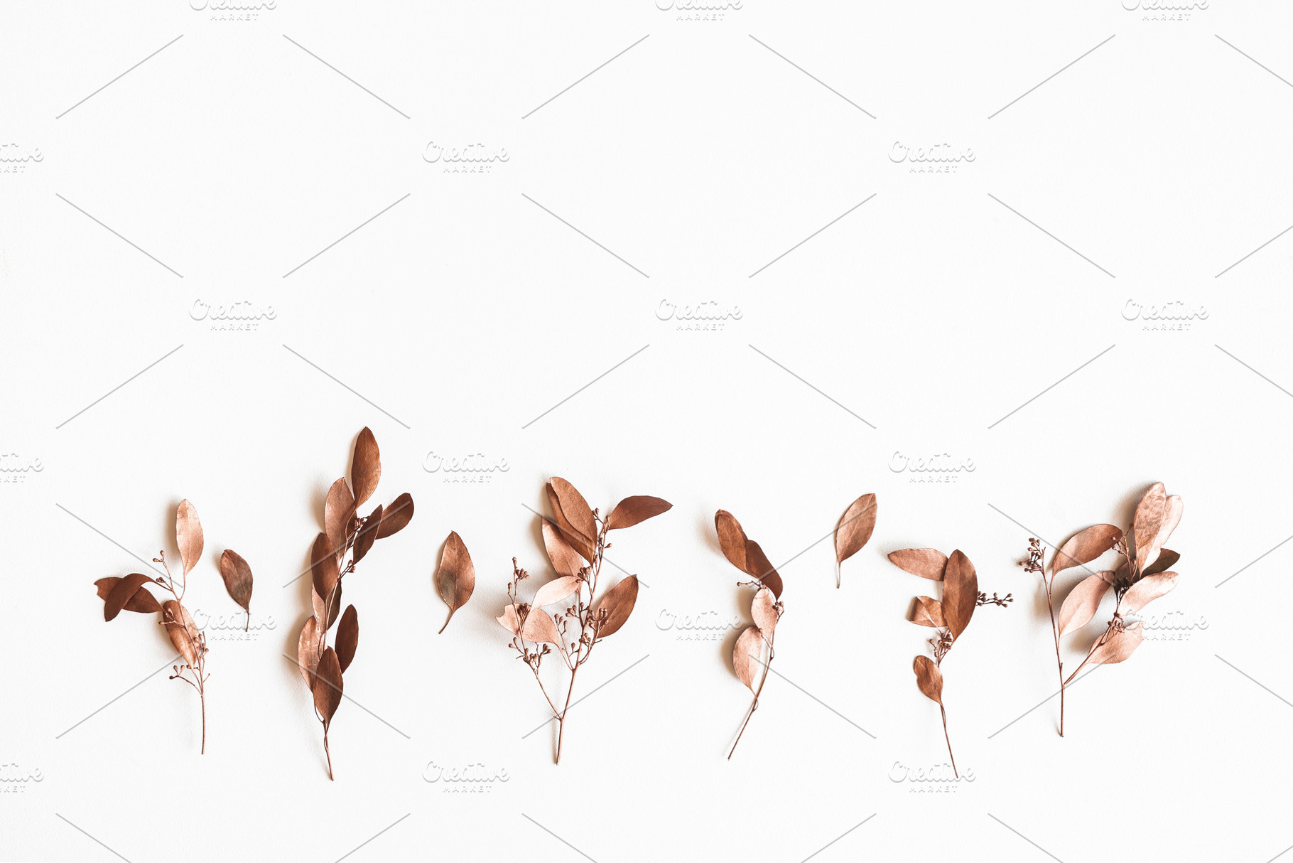 Eucalyptus leaves containing eucalyptus, golden, and brown, an Arts & Entertainment Photo by Flaffy