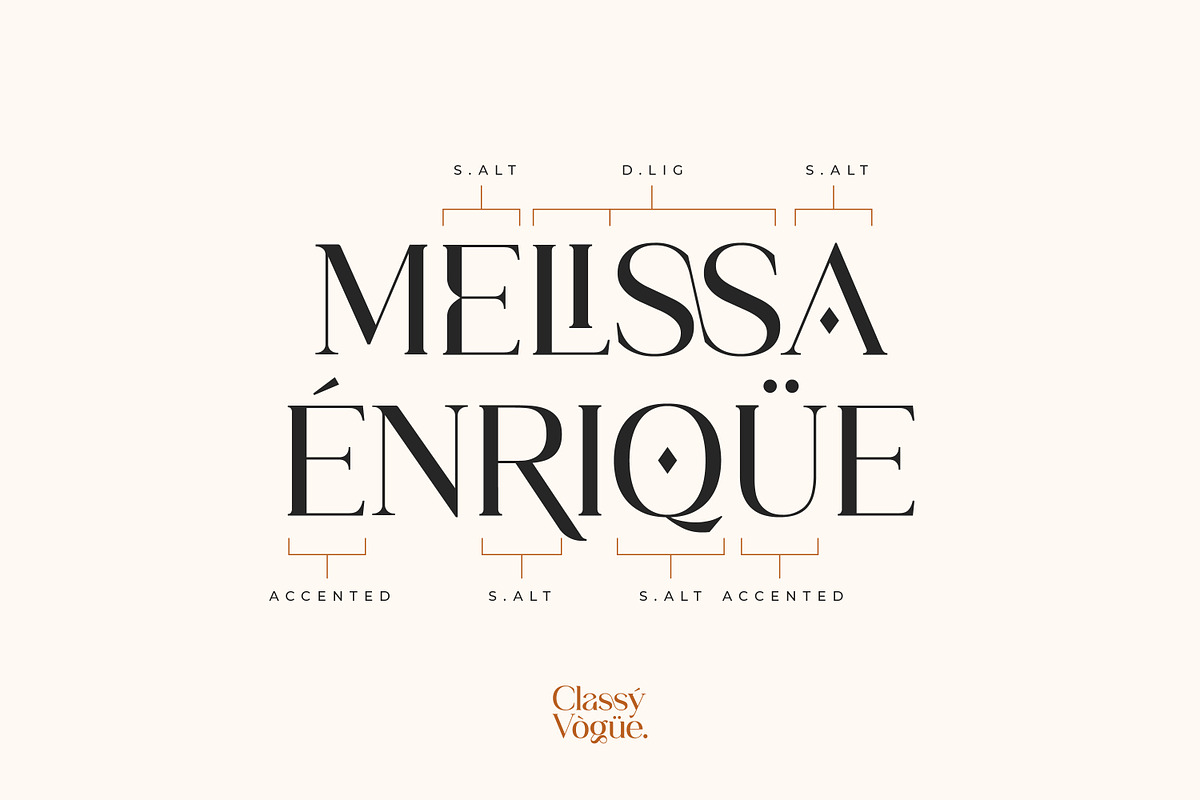 Classy Vogue - Stylish Serif, a Serif Font by Variatype (Photo 10 of 16)