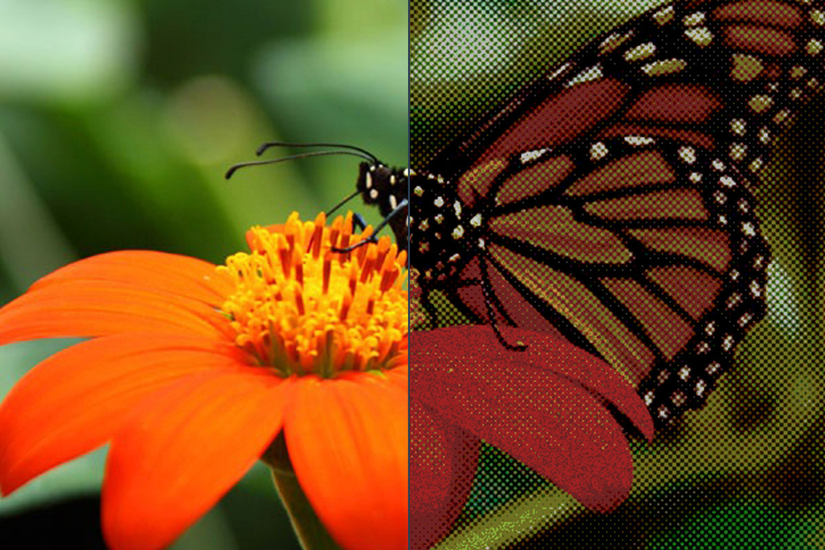 Halftone Photo Effect - PS Action, an Action Add-On by Viktor (Photo 3 of 6)