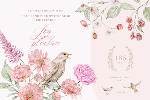 Peach peonies, roses, garden flowers, an Illustration by astelenadesign