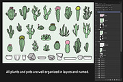 Cactus Collection, a Decorative Illustration by Chelovector (Thumbnail 4 of 4)