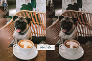Midday Sun – 10 Lightroom Presets, a Preset Add-On by SHOOM HOUSE (Thumbnail 6 of 9)