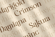 Emira - Unique Luxury Logo Font, a Serif Font by Sensatype (Thumbnail 8 of 12)