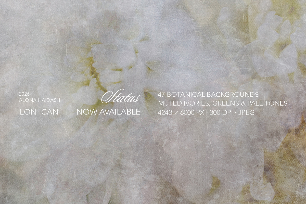 Flora Ether Botanical Backgrounds, a Background Graphic by alonahaidash (Photo 4 of 16)