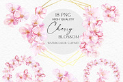 Tender Cherry Blossom, an Illustration by Olga Koelsch (Thumbnail 6 of 8)